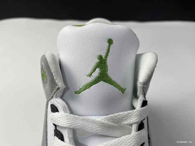 Cheap Air Chlorophyll 136064-006 3 Jordan Retro 0811
